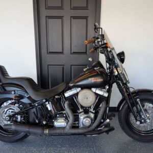 2008 Harley-Davidson Cross Bones Springer $8,950